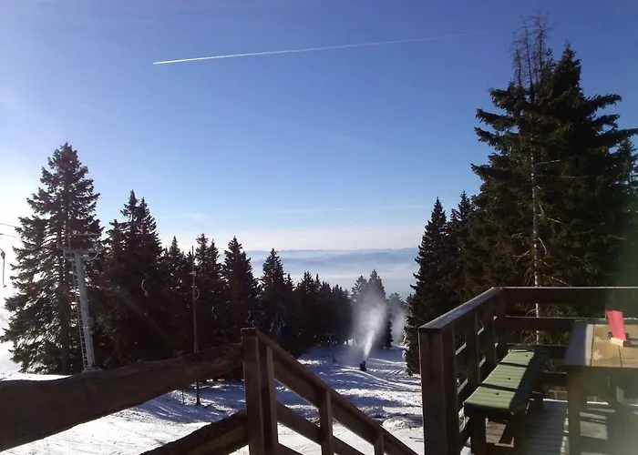 Bed & Breakfast And Restaurant Tia