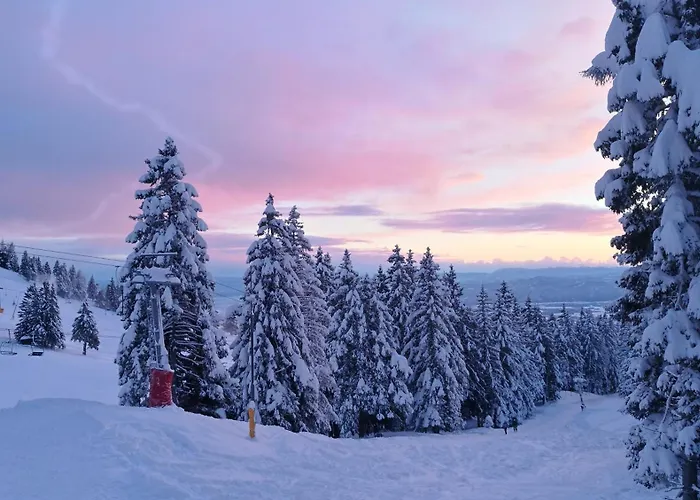 And Restaurant Tia Cerklje na Gorenjskem